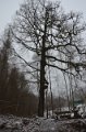 Wandertag 2017 - 059